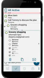 Pocket Informant 8
