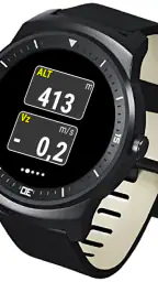PPGpS 8