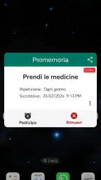 Promemoria Pro 3