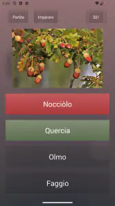 Quiz di cultura generale screenshot