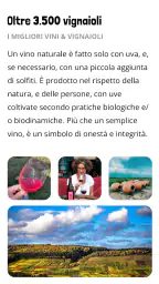 Raisin: Cucina & Vino Naturale 5