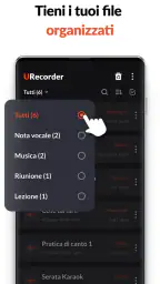 Registratore Vocale & Audio 5