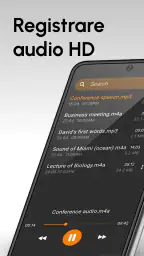Registratore Vocale Semplice 4
