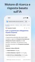 Ricerca Microsoft Bing 1