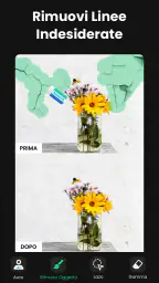 Rimuovi Oggetti dalle Foto 4