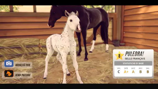 Rival Stars Horse Racing 3