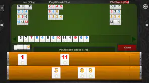 Rummy 45 - Remi Etalat screenshot
