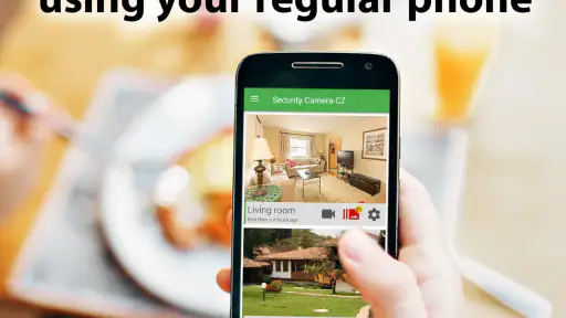 Security Camera CZ 2