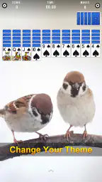 Spider Solitaire 8