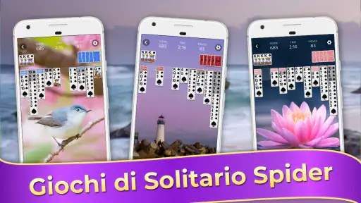 Spider Solitaire - Card Games 1