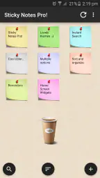 Sticky Notes Pro ! 1