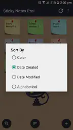 Sticky Notes Pro ! 5