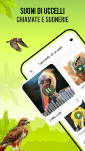 Suoni di uccelli screenshot