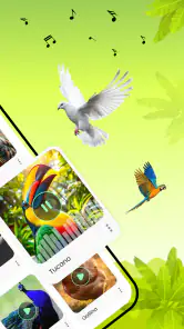 Suoni di uccelli screenshot