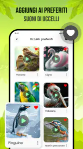 Suoni di uccelli screenshot
