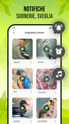 Suoni di uccelli 5