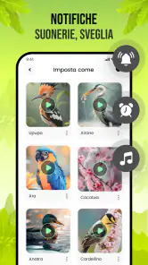 Suoni di uccelli screenshot