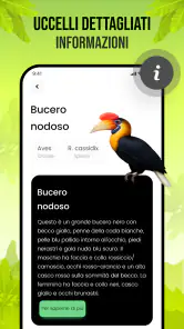Suoni di uccelli screenshot