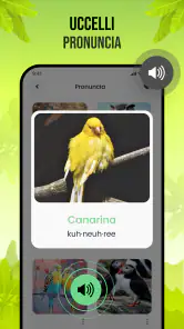 Suoni di uccelli screenshot
