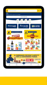 TIGROS screenshot