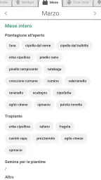 Tomappo 7