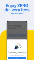 TransferGo: Money Transfer 3