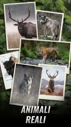 Trophy Hunter: caccia casual 1