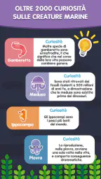 Mare di Parole: Gioco Italiano 7