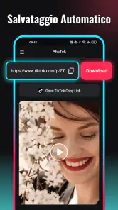 TT Downloader: Video Saver screenshot