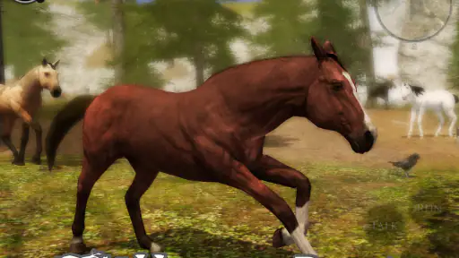 Ultimate Horse Simulator 2 6