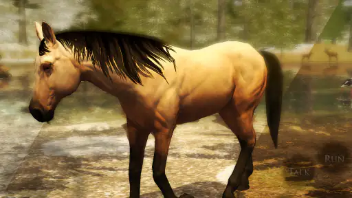 Ultimate Horse Simulator 2 7