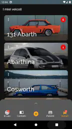 Veicoli - Gestione auto e moto 3