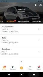 Veicoli - Gestione auto e moto 7