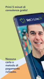 VetOnline24 - 2.0 6