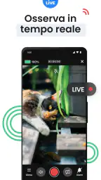 Videocamera di sicurezza 5