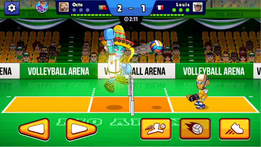 Volleyball Arena 3