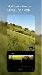 VSCO: Editor di Foto e Video 4