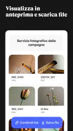 WeTransfer 4