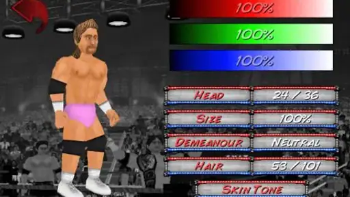 Wrestling Revolution 2
