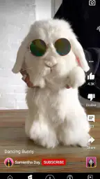 YouTube 2
