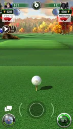 Ultimate Golf! 8