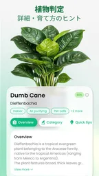 AI植物スキャン：判定・照度計 3