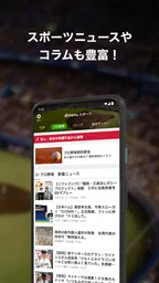 dmenu スポーツ 4