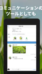 Agrion(アグリオン) 8