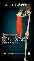 Anatomy Learning - 3D解剖学 2