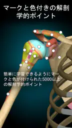 Anatomy Learning - 3D解剖学 3