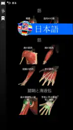 Anatomy Learning - 3D解剖学 6