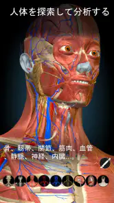 Anatomy Learning - 3D解剖学 screenshot