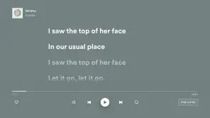 Android TV用Spotifyミュージック screenshot