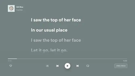 Android TV用Spotifyミュージック 3